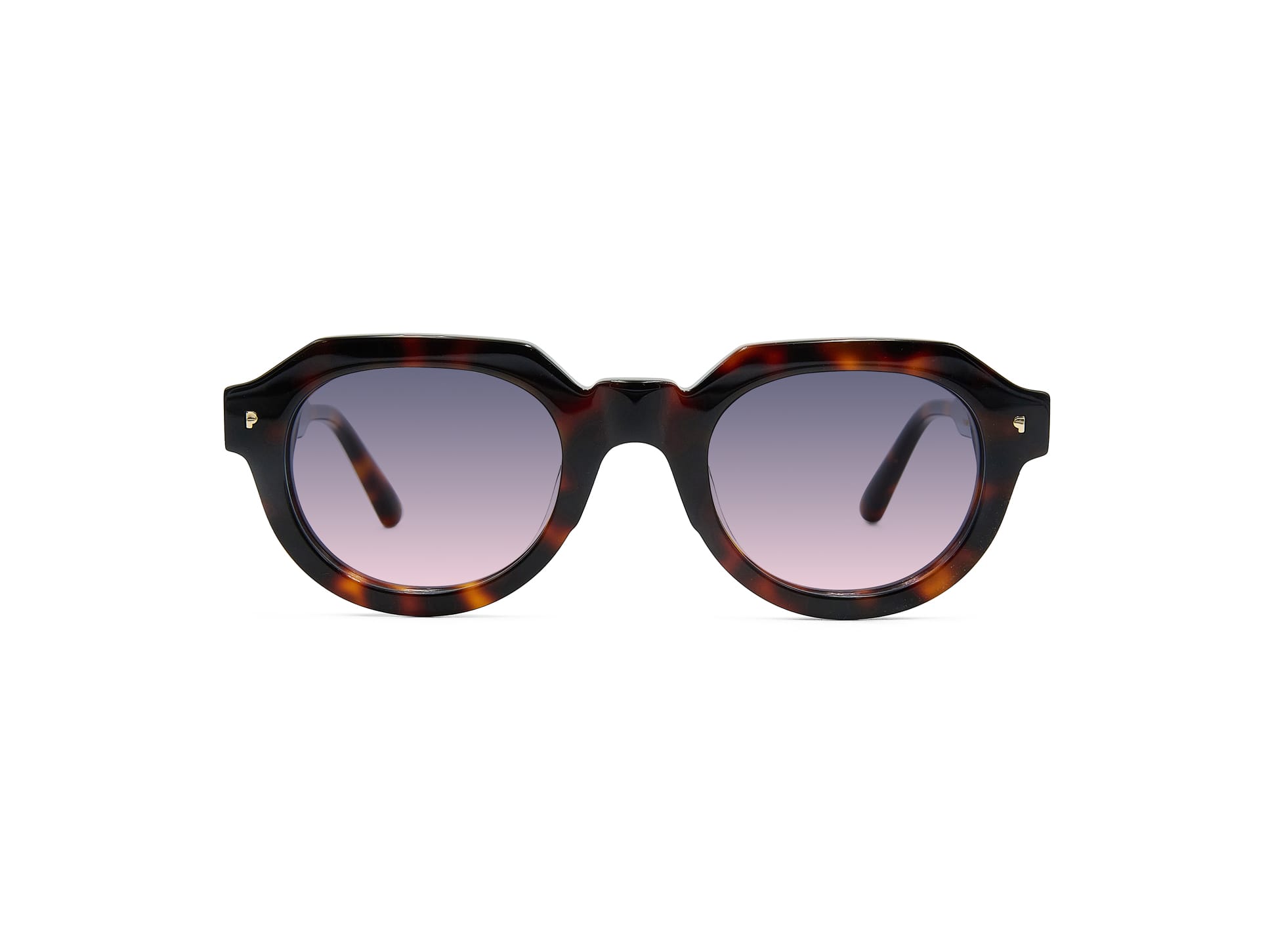 Kotarou Tortoise (TEST)