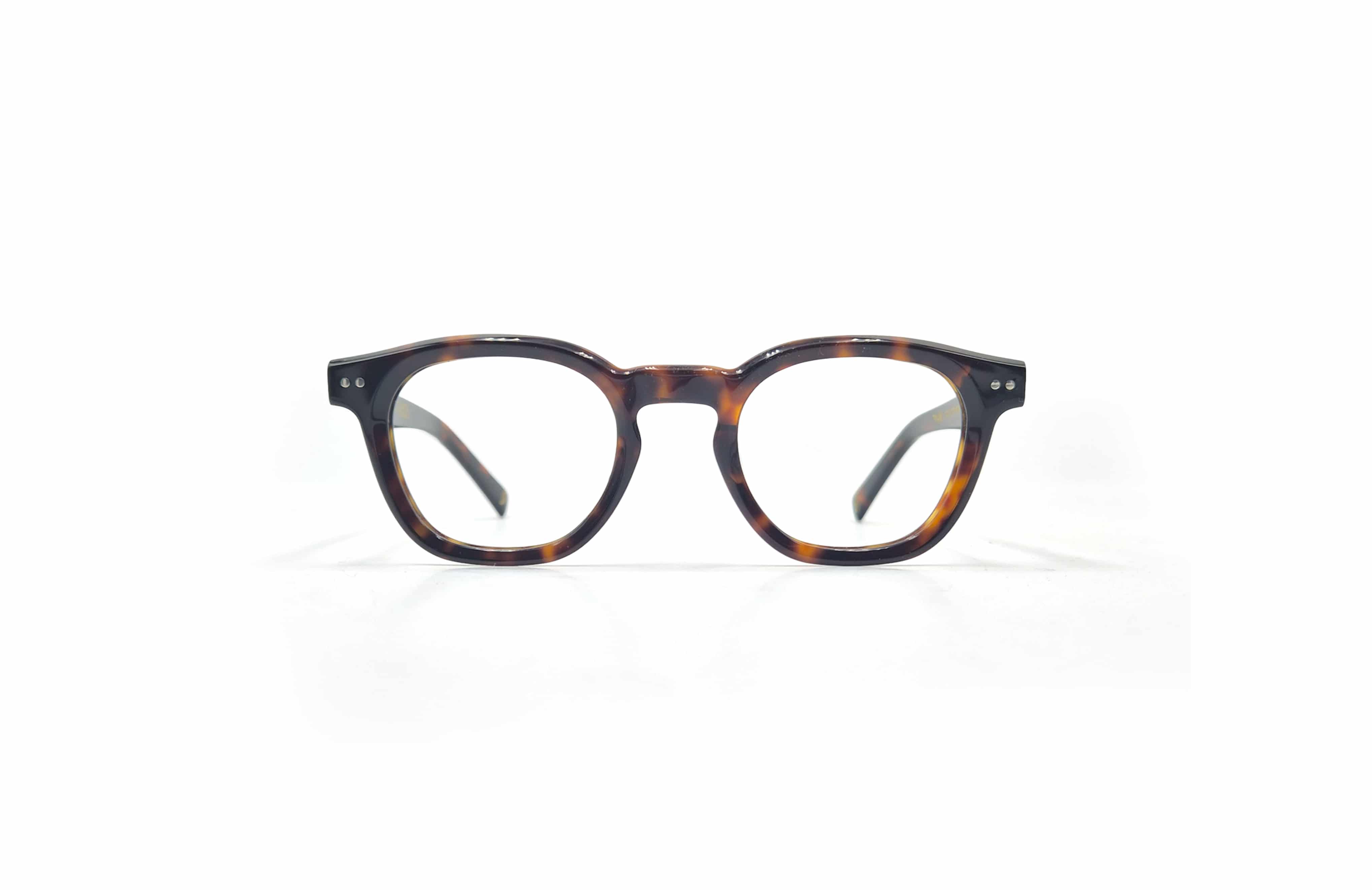 Aki Tortoise
