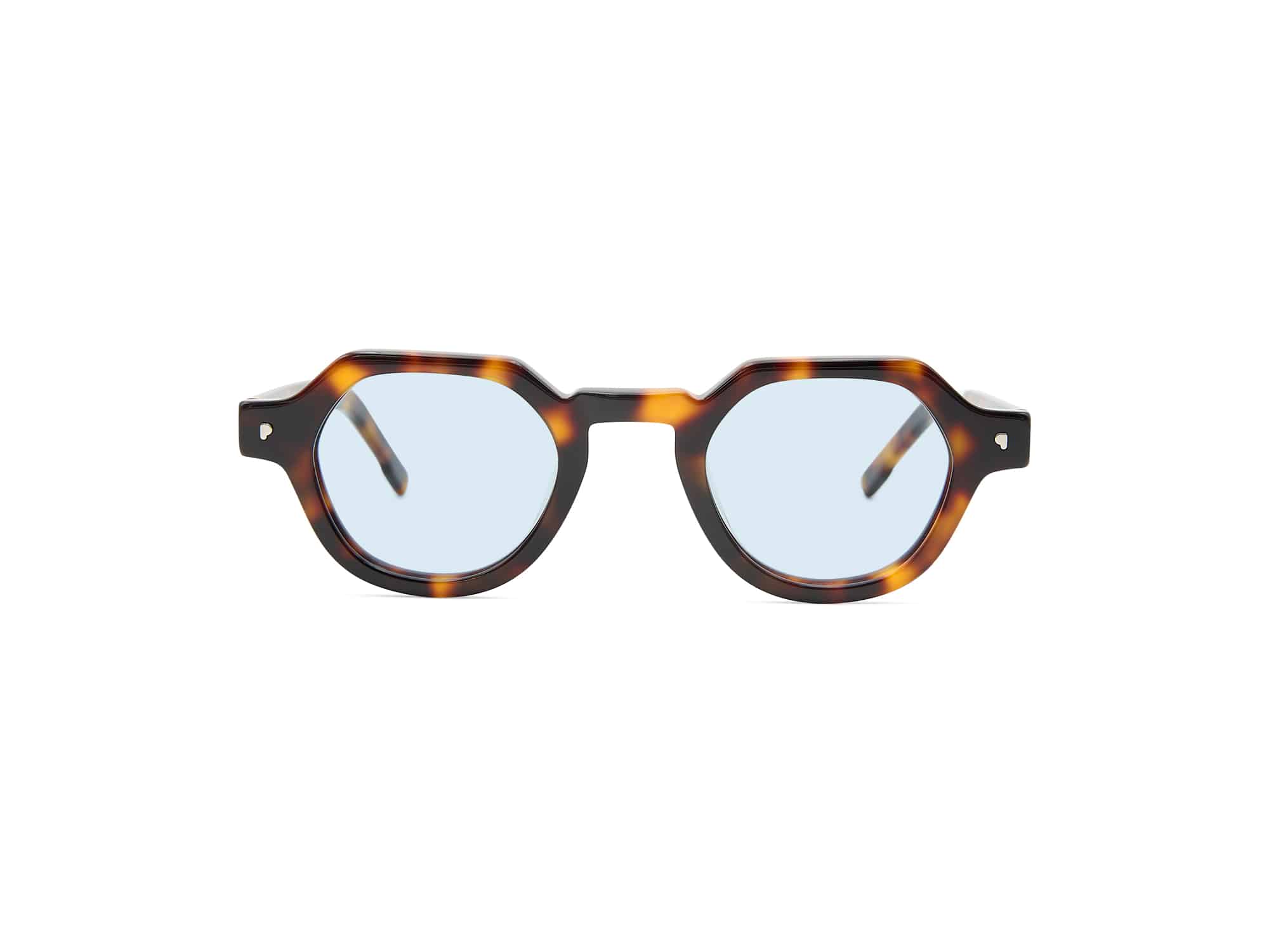 Asakusa Tortoise