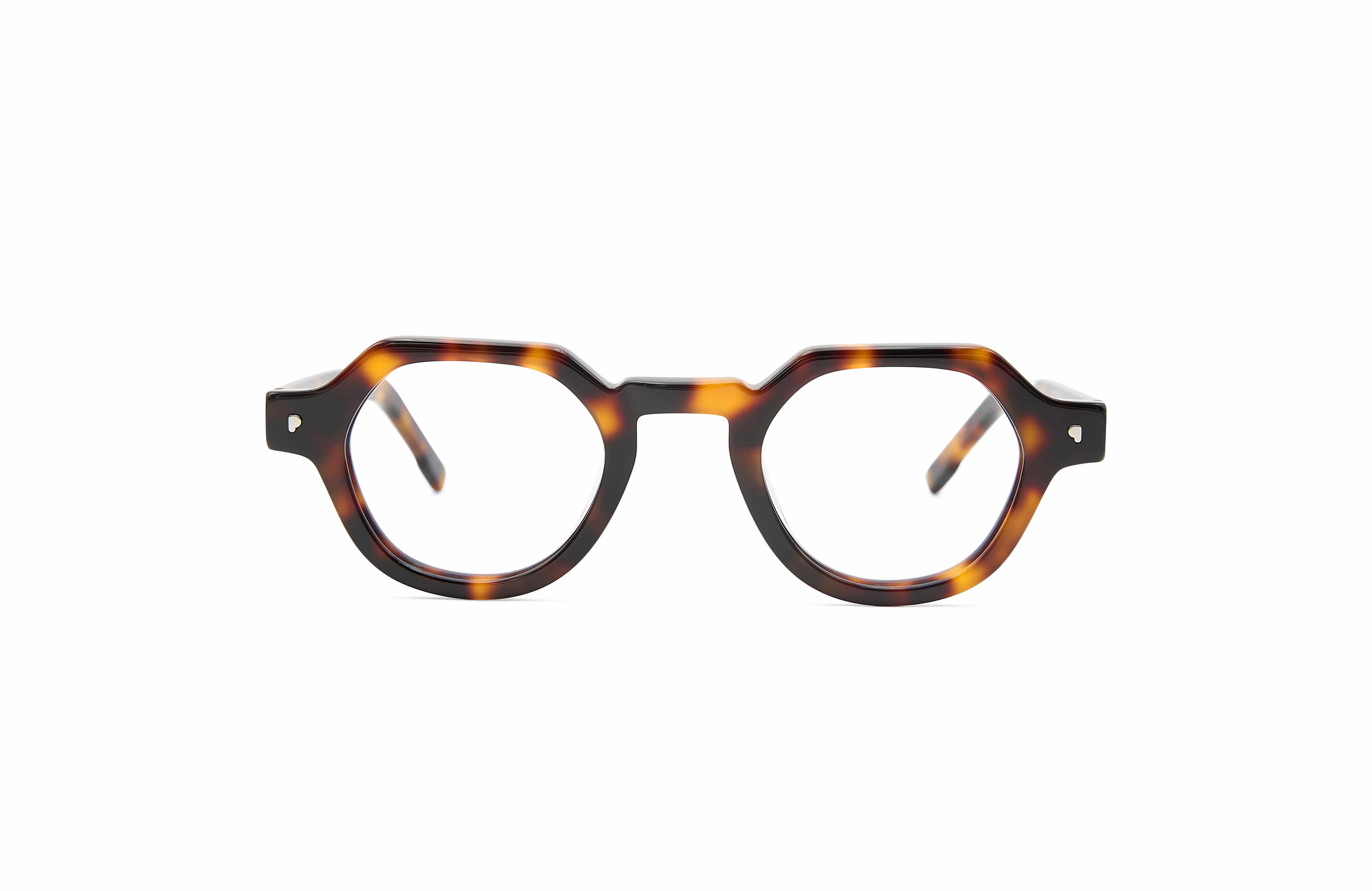 Asakusa Tortoise