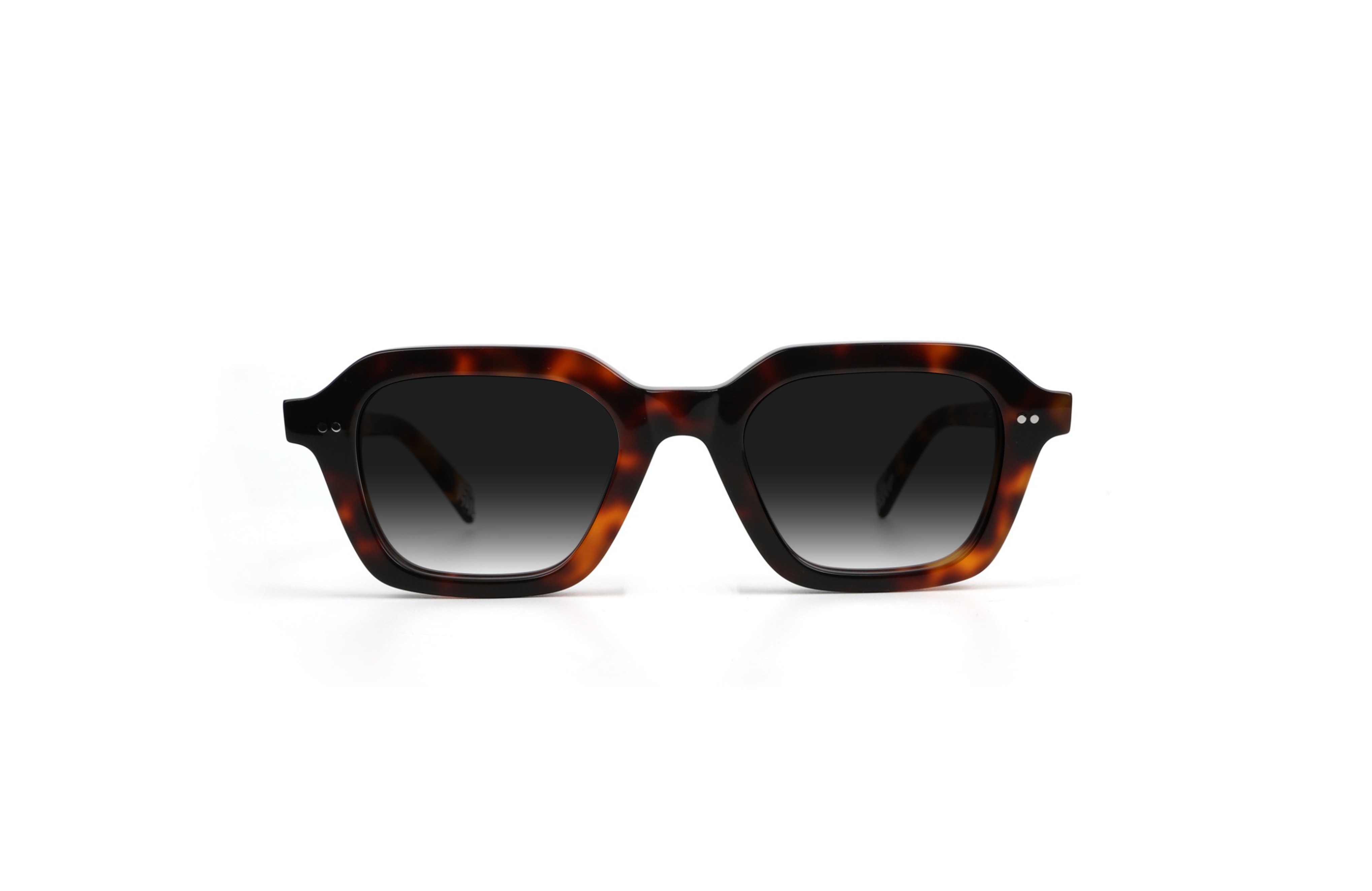 Hiku Tortoise