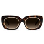 Izumi Tortoise