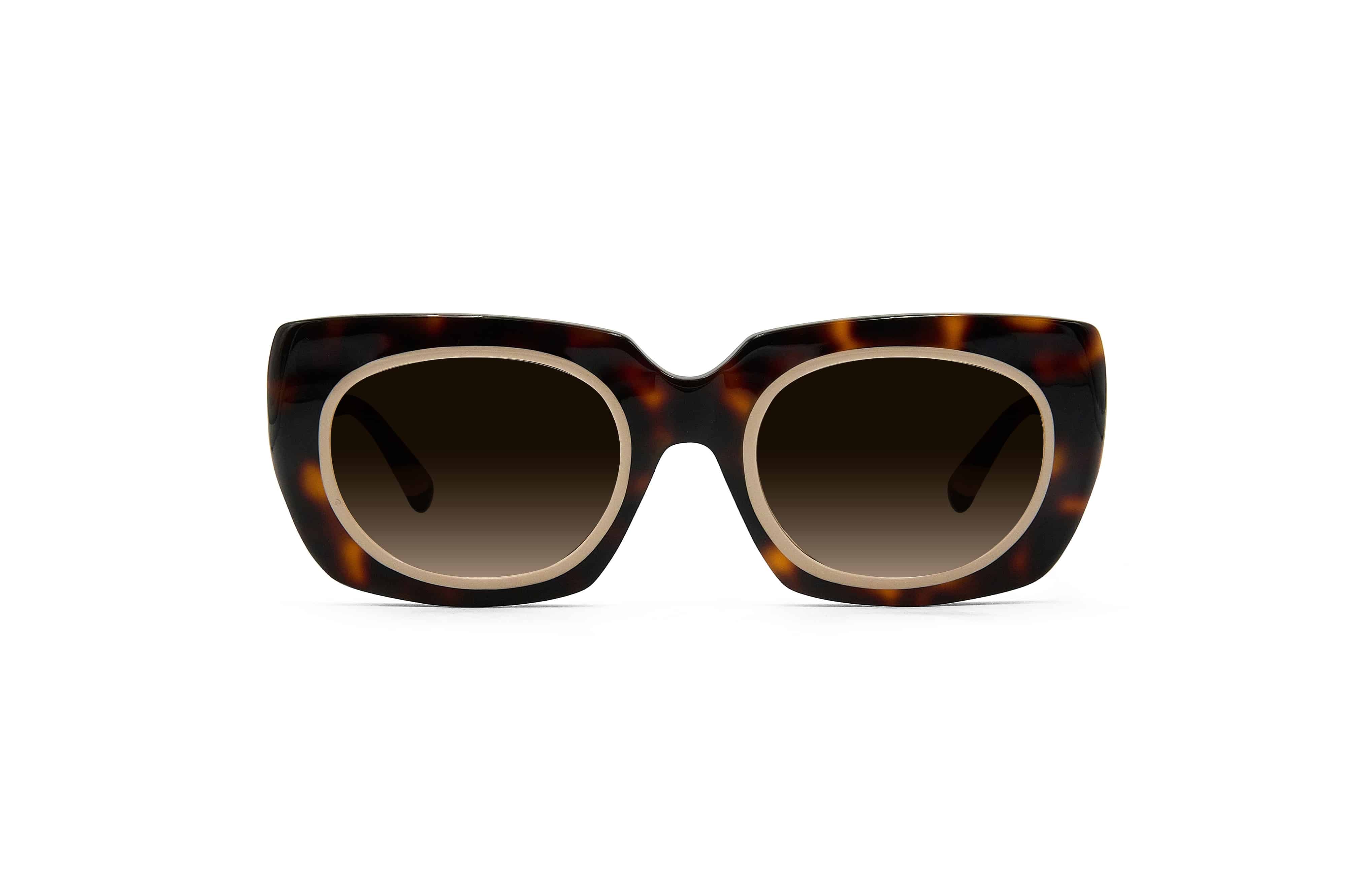Izumi Tortoise