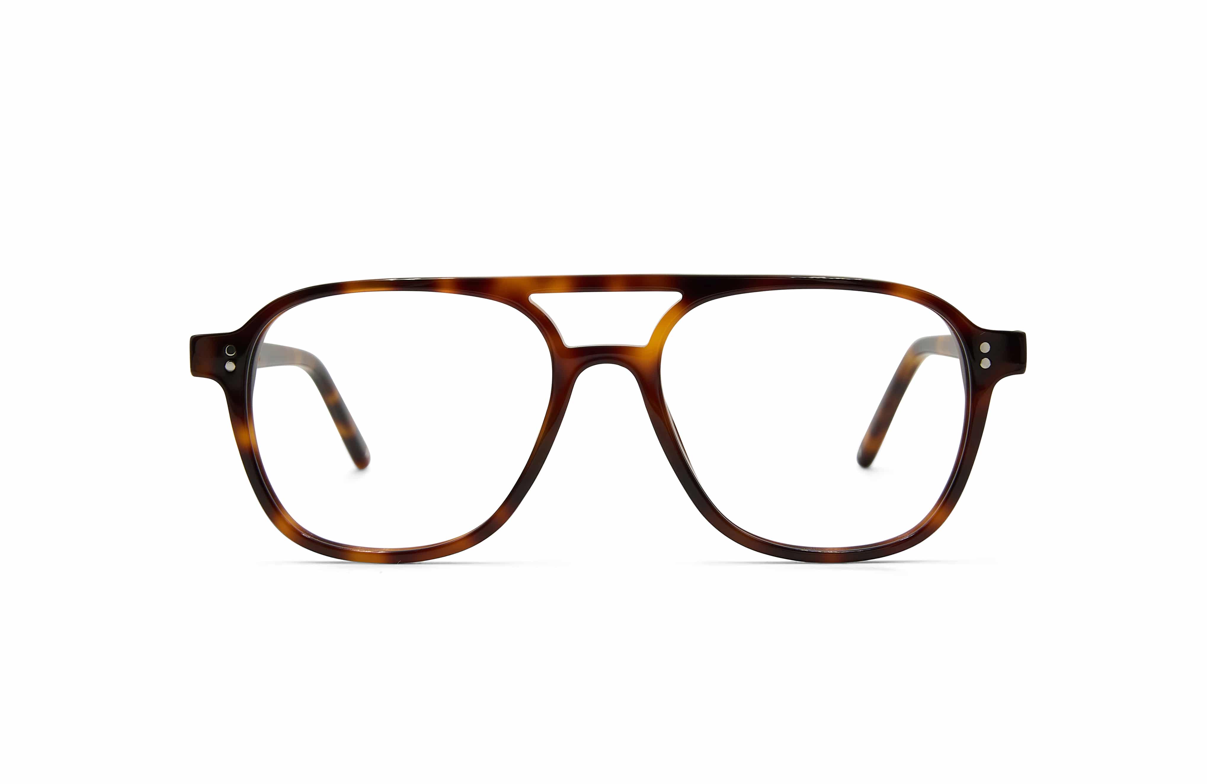 Kaito Tortoise