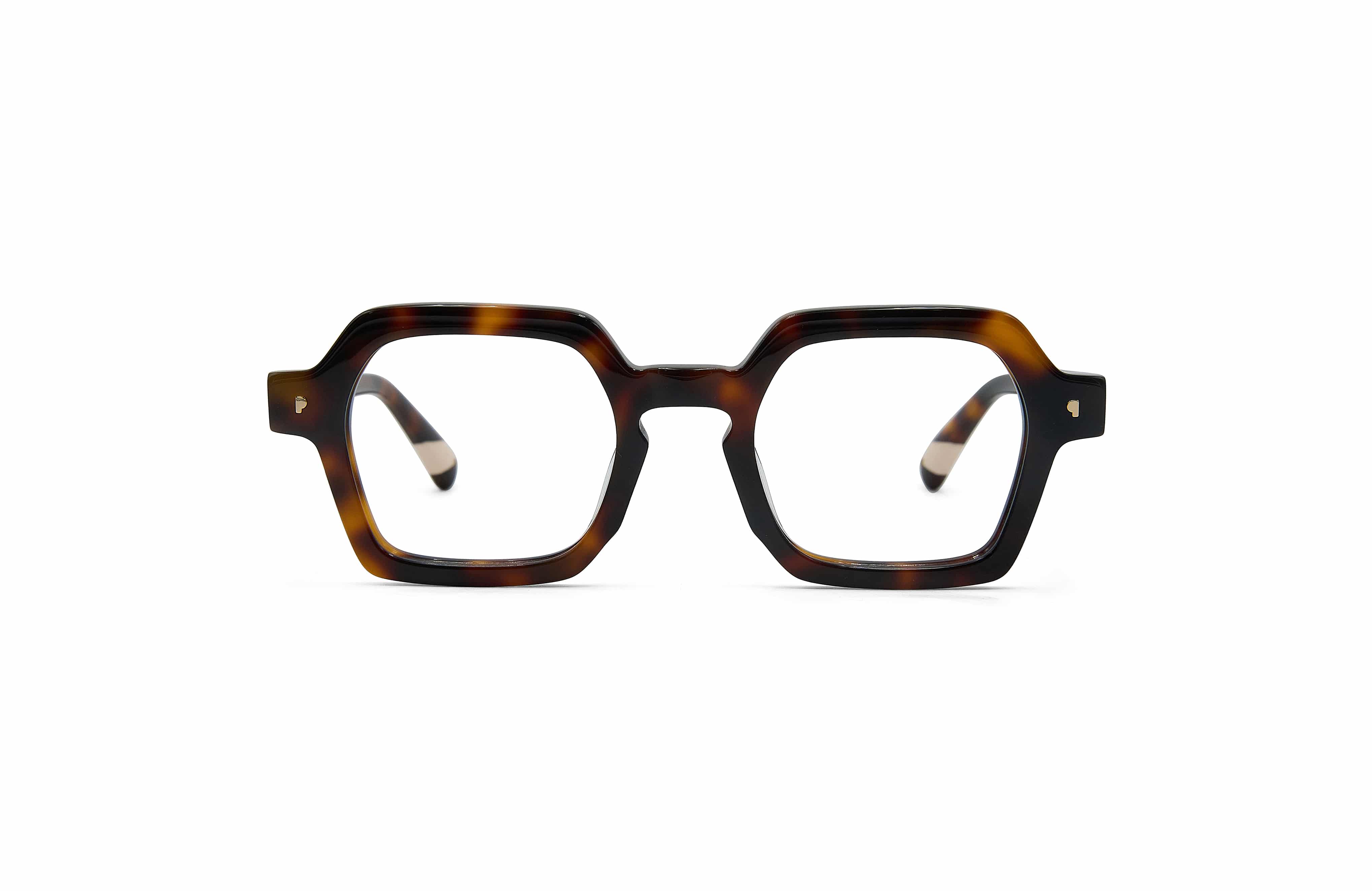 Kaya Tortoise