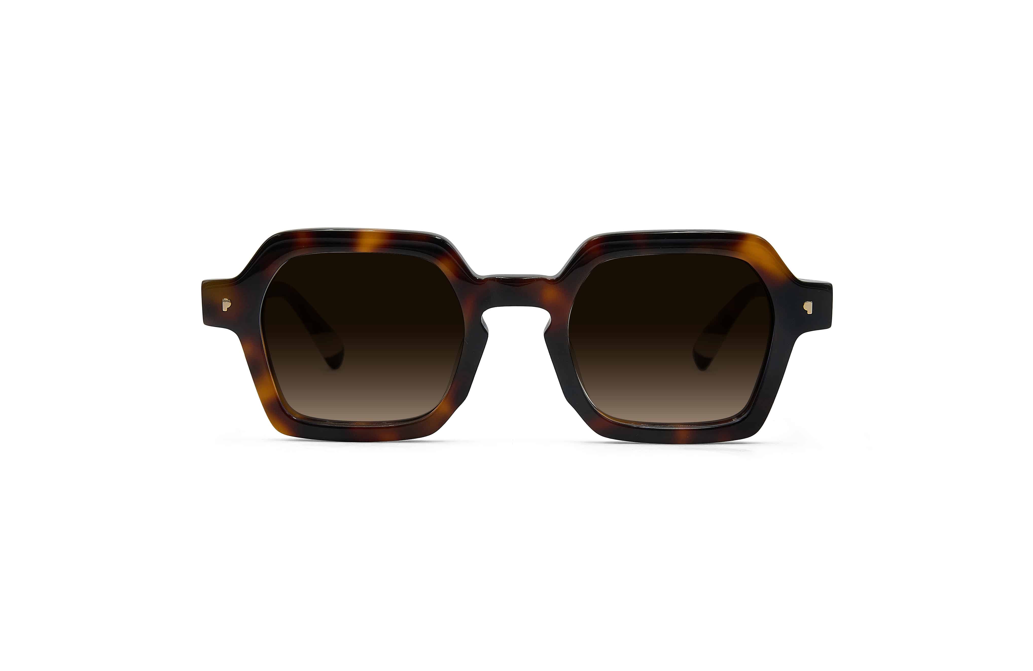 Kaya Tortoise