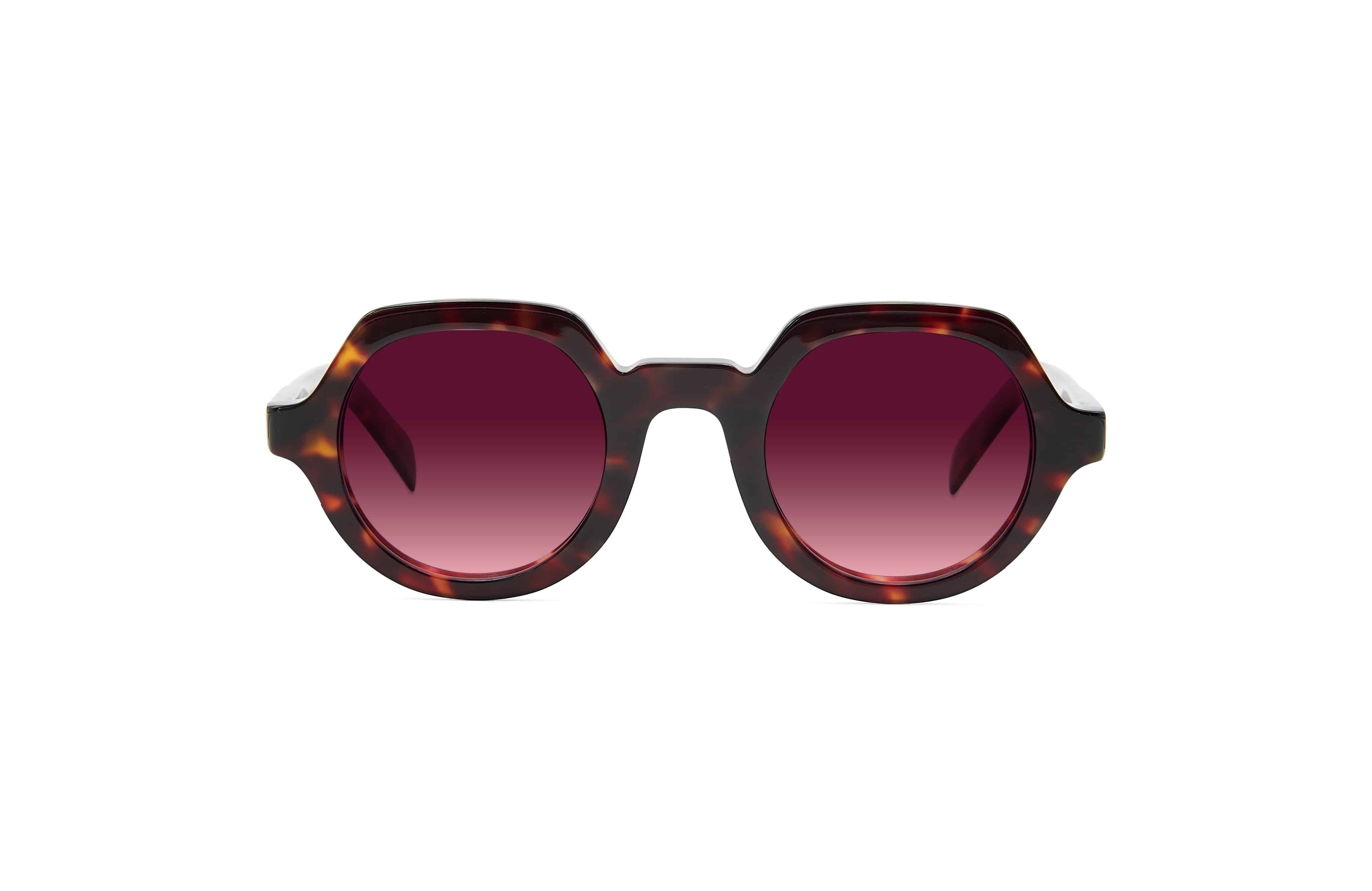 Sapporo Tortoise