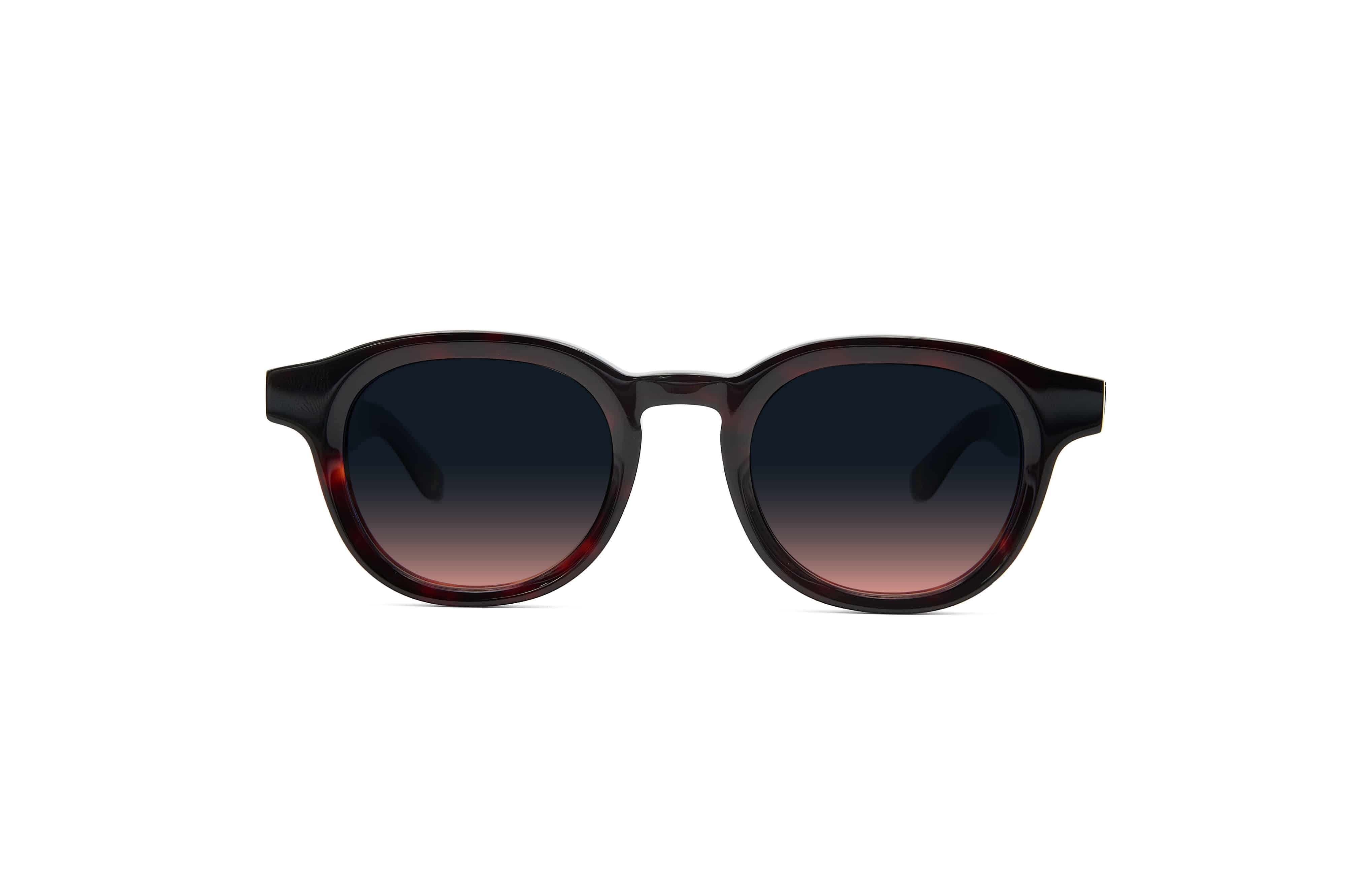 Shoto Tortoise