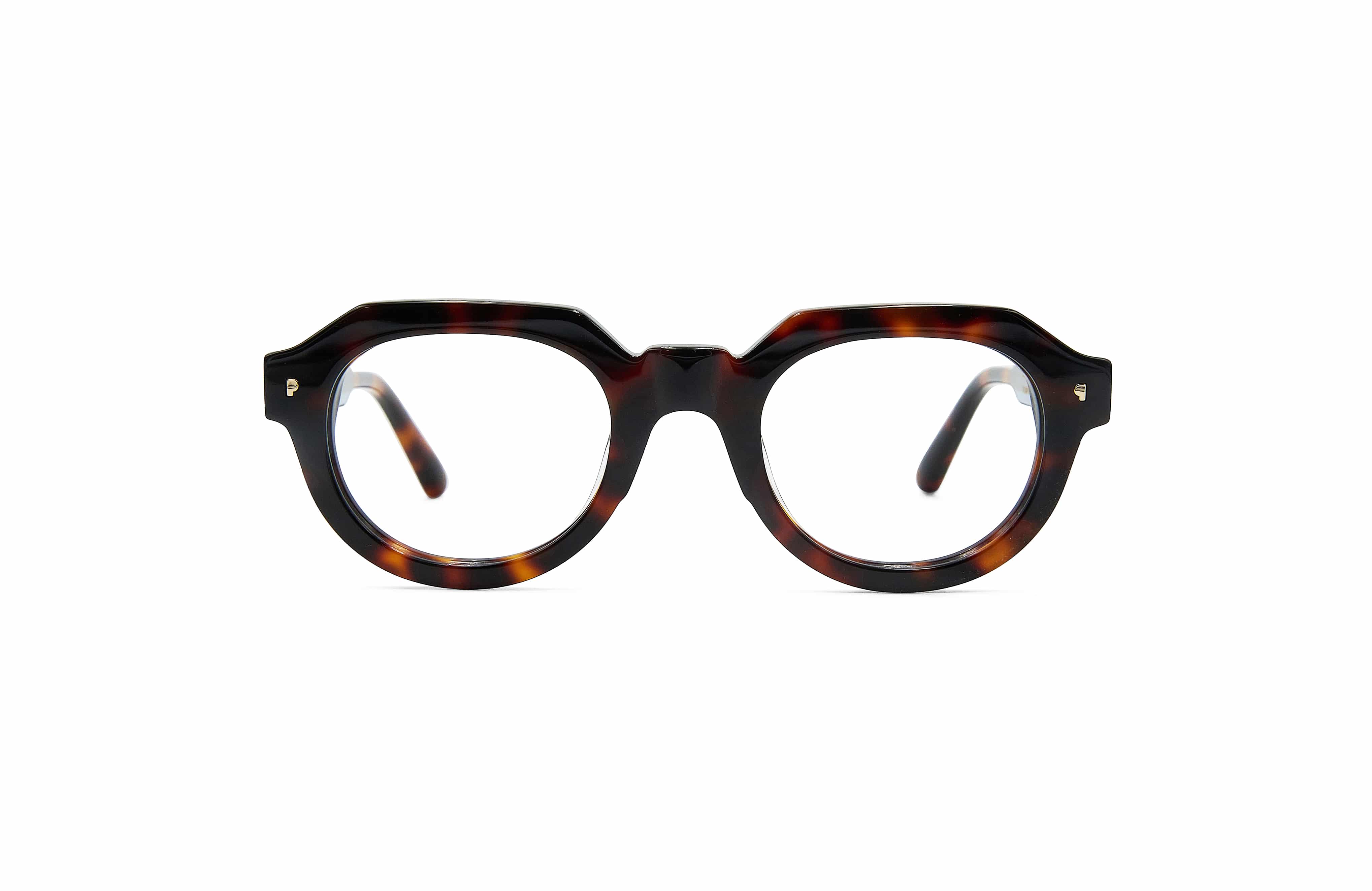 Kotarou Tortoise