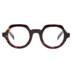 Sapporo Tortoise