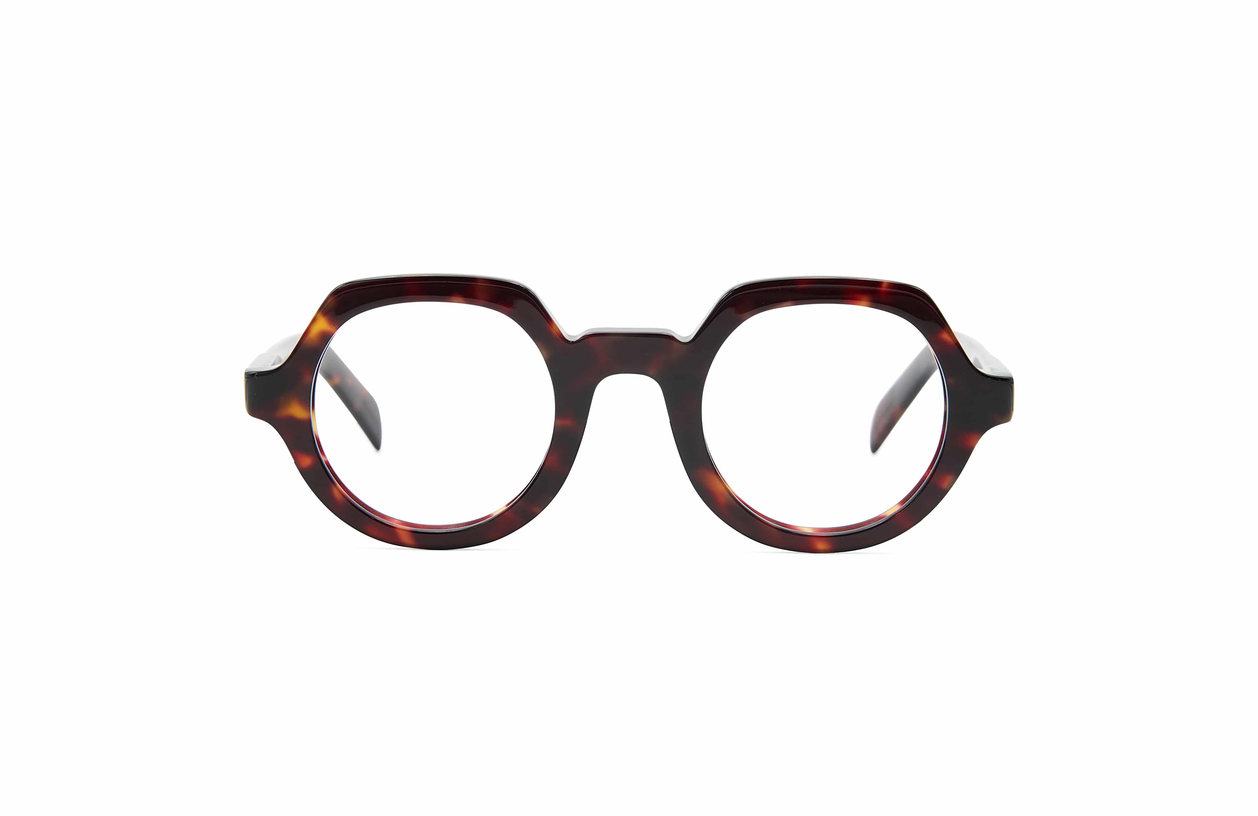 Sapporo Tortoise