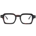 Shibuya Tortoise