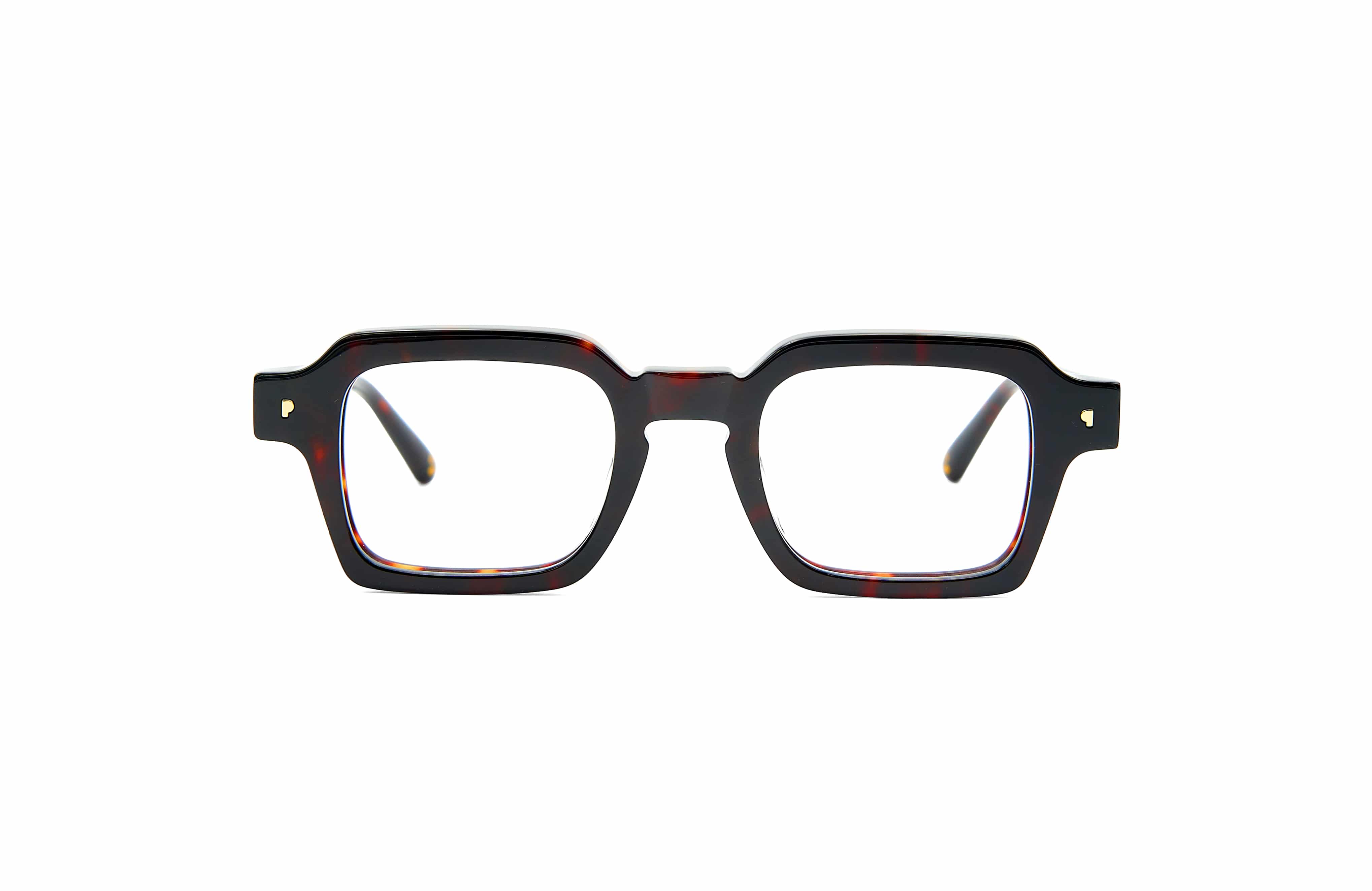 Shibuya Tortoise