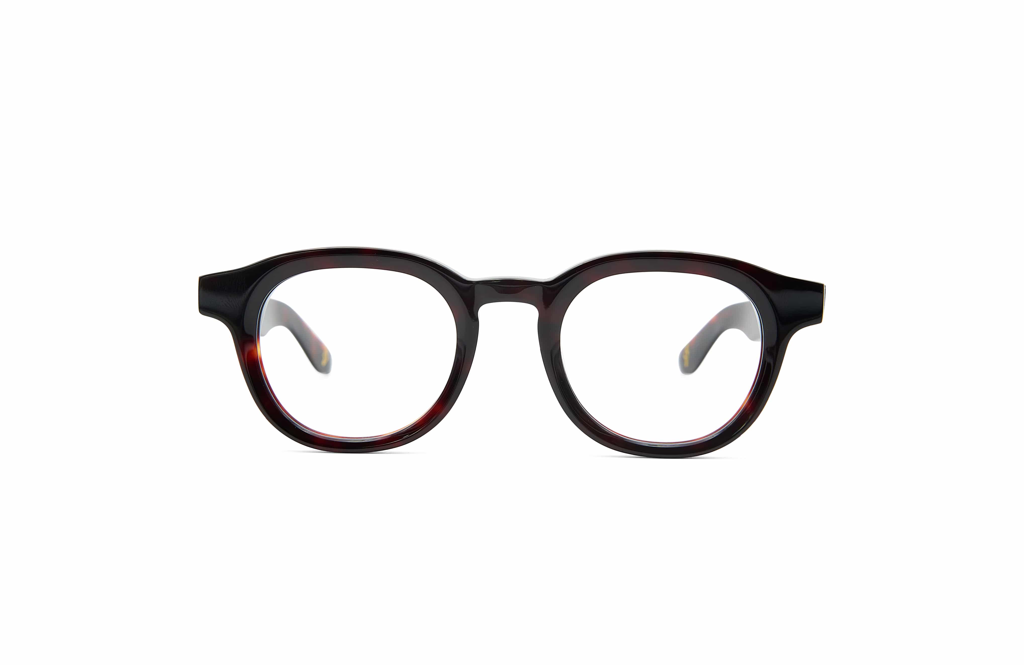 Shoto Tortoise