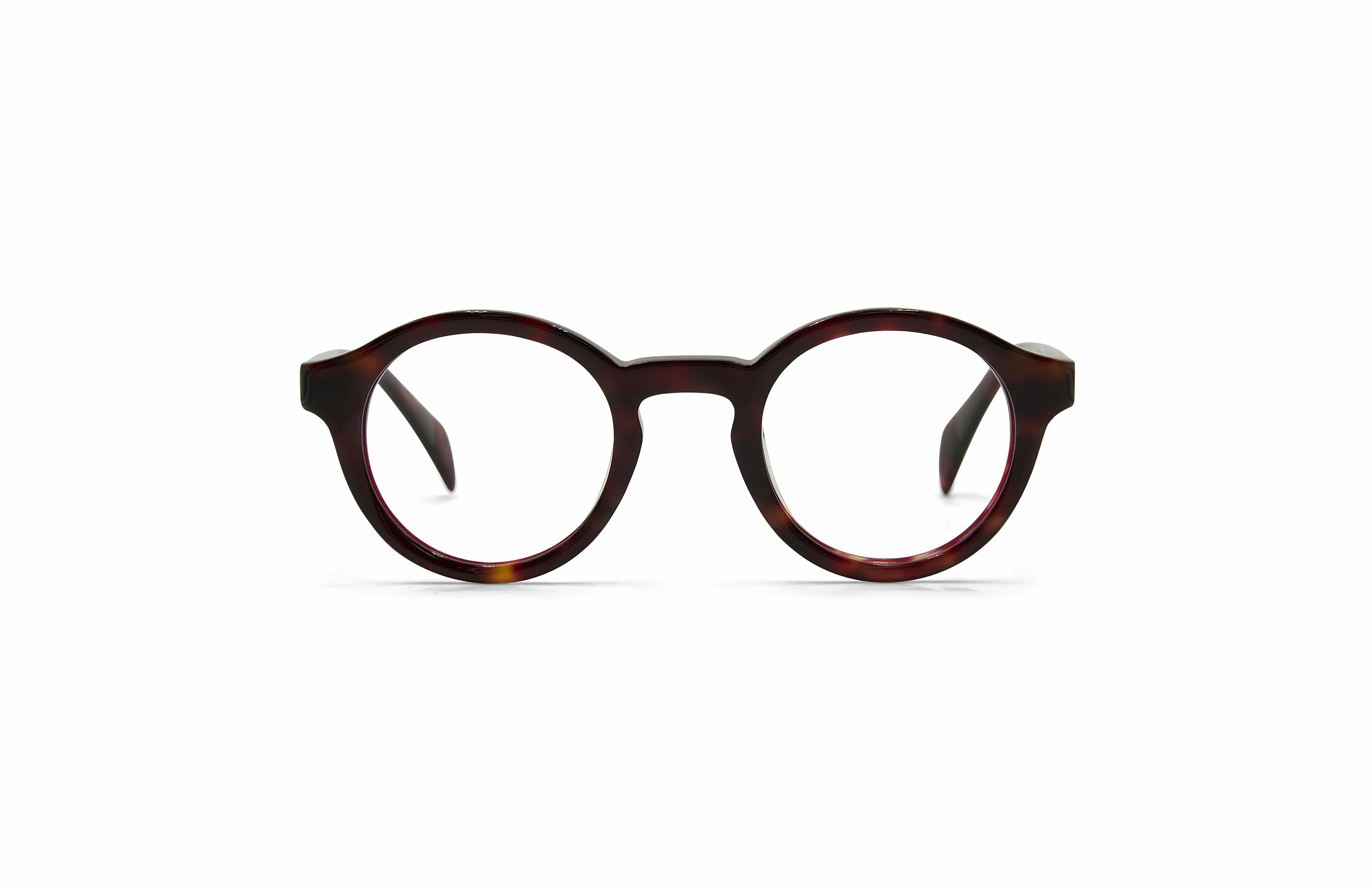 Toshiko Tortoise