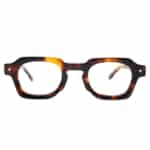 Tsukiji Tortoise