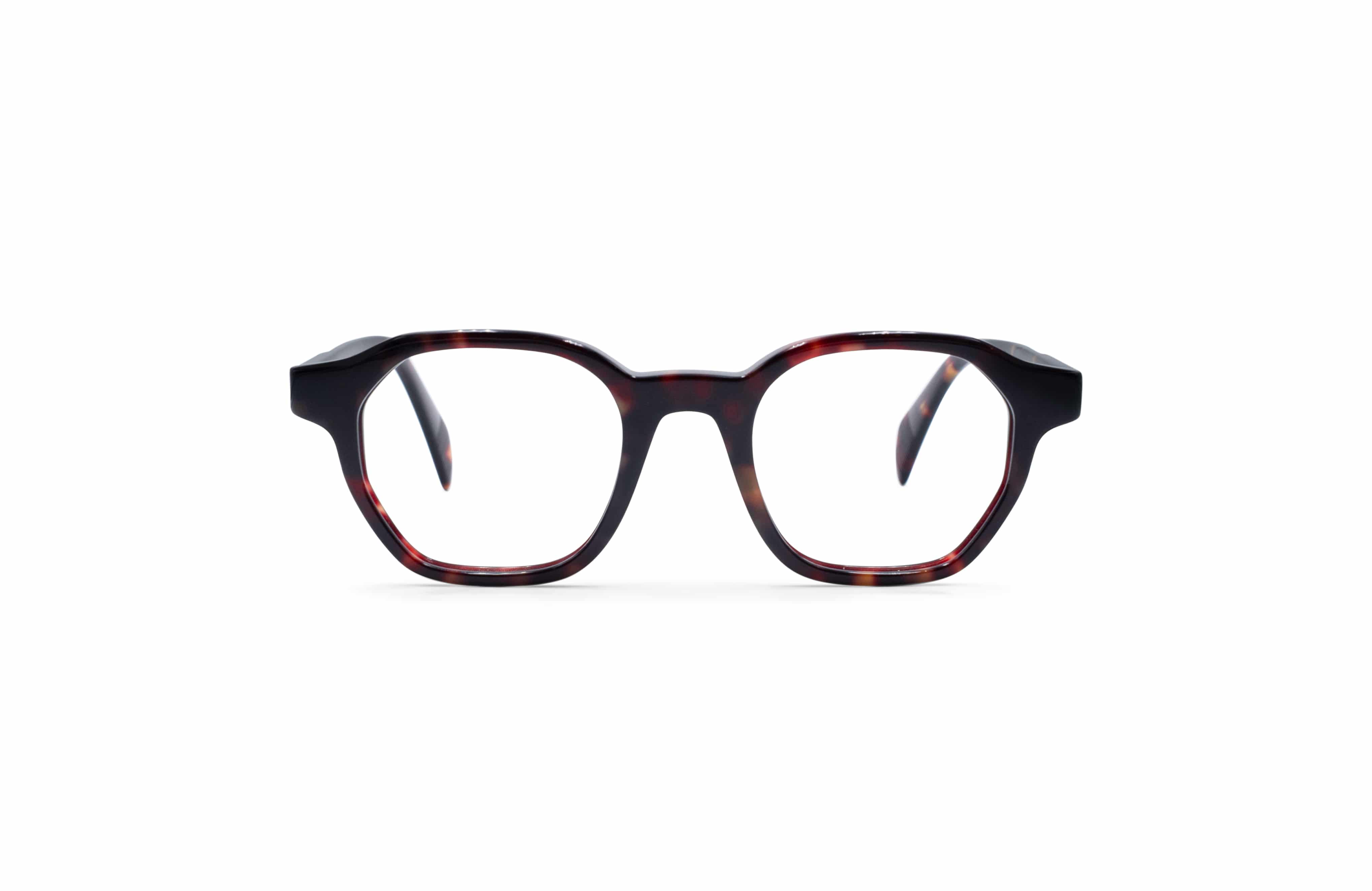 Yukito Tortoise